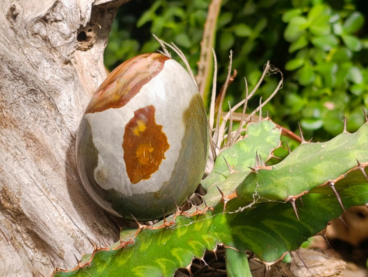 Polished Polychrome Jasper Egg x 1 From Madagascar