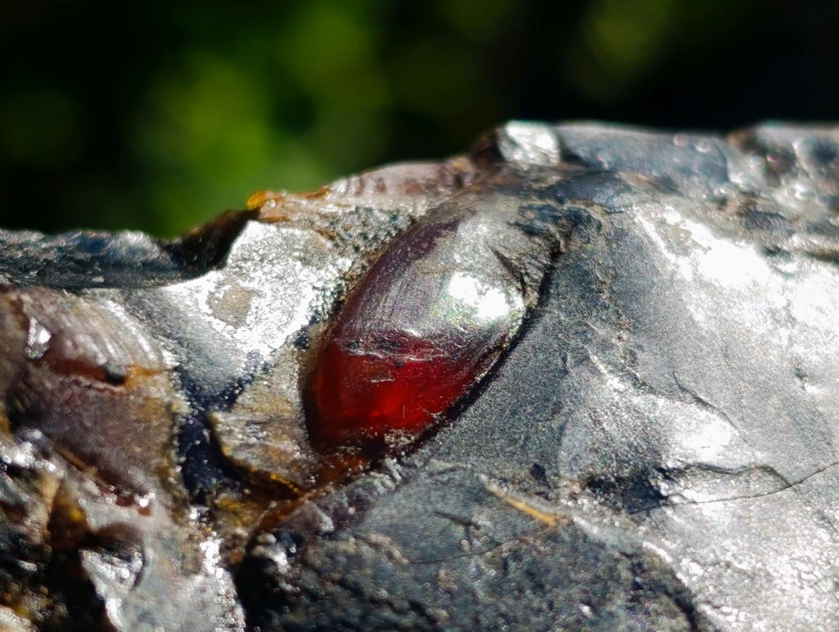 Natural Burmese Amber Specimen x 1 From Myanmar Burma