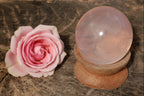 Polished Clear Gemmy Star Rose Quartz Sphere x 1 From Ambatondrazaka Madagascar