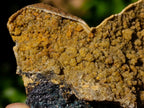 Natural Aggeneys Siderite Sphalerite Epimorph after Calcite Crystalline Specimen x 1 From Aggeneys South Africa