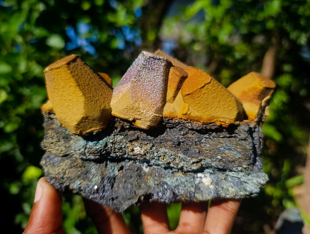 Natural Aggeneys Siderite Sphalerite Epimorph after Calcite Crystalline Specimen x 1 From Aggeneys South Africa