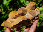 Natural Aggeneys Siderite Sphalerite Epimorph after Calcite Crystalline Specimen x 1 From Aggeneys South Africa