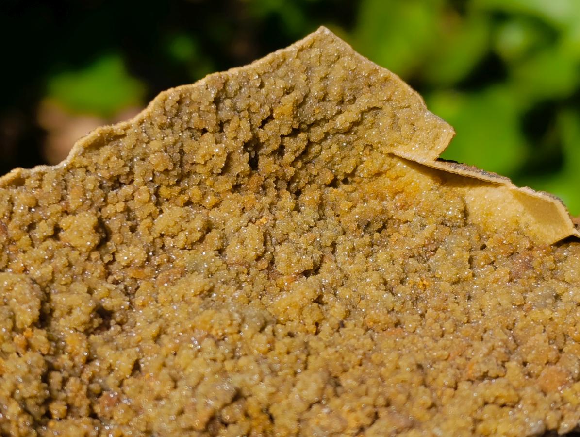 Natural Aggeneys Siderite Sphalerite Epimorph after Calcite Crystalline Specimen x 1 From Aggeneys South Africa