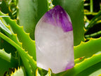 Polished Smokey Amethyst Phantom Crystal x 1 From Akansobe Madagascar