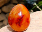 Polished Pair of His and Hers Carnelian Gemstone Eggs x 1 From Madagascar