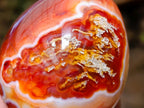 Polished Pair of His and Hers Carnelian Gemstone Eggs x 1 From Madagascar