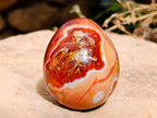 Polished Pair of His and Hers Carnelian Gemstone Eggs x 1 From Madagascar