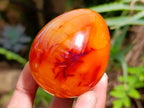 Polished Pair of His and Hers Carnelian Gemstone Eggs x 1 From Madagascar