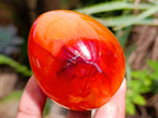 Polished Pair of His and Hers Carnelian Gemstone Eggs x 1 From Madagascar