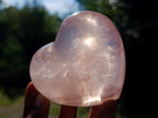 Polished Gemmy Star Rose Quartz Heart x 1 From Ambatondrazaka, Madagascar