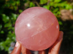 Polished Large Star Rose Quartz Sphere with Wooden Stand x 1 From Ambatondrazaka Madagascar