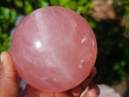 Polished Large Star Rose Quartz Sphere with Wooden Stand x 1 From Ambatondrazaka Madagascar
