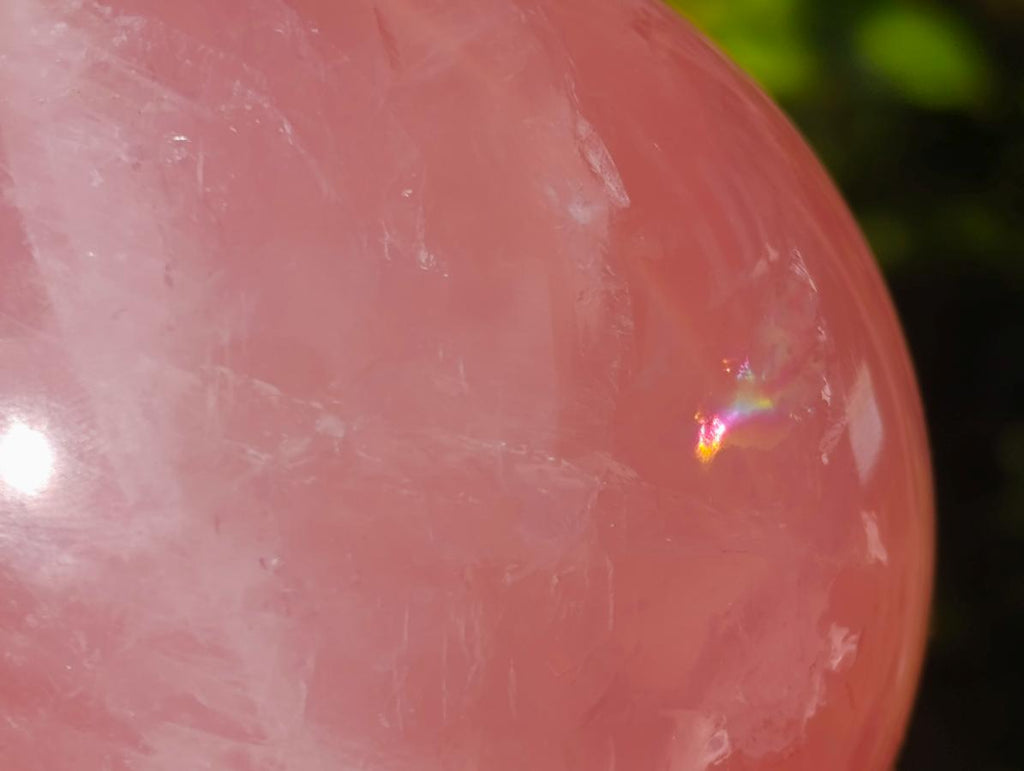 Polished Large Star Rose Quartz Sphere with Wooden Stand x 1 From Ambatondrazaka Madagascar