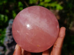 Polished Large Star Rose Quartz Sphere with Wooden Stand x 1 From Ambatondrazaka Madagascar