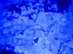 Natural Large Green Cubic Fluorite Specimen x 1 From Mandrosonoro, Madagascar