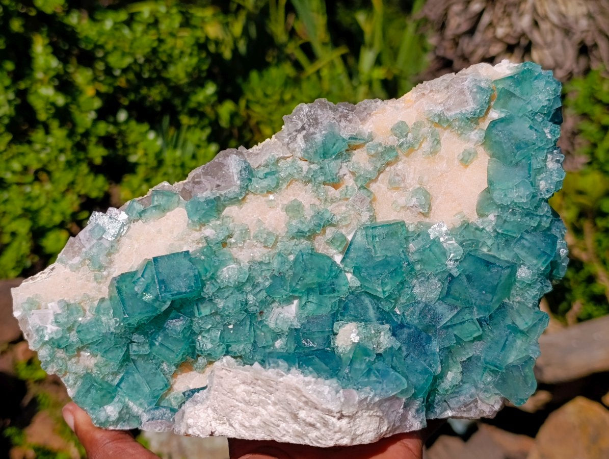 Natural Large Green Cubic Fluorite Specimen x 1 From Mandrosonoro, Madagascar