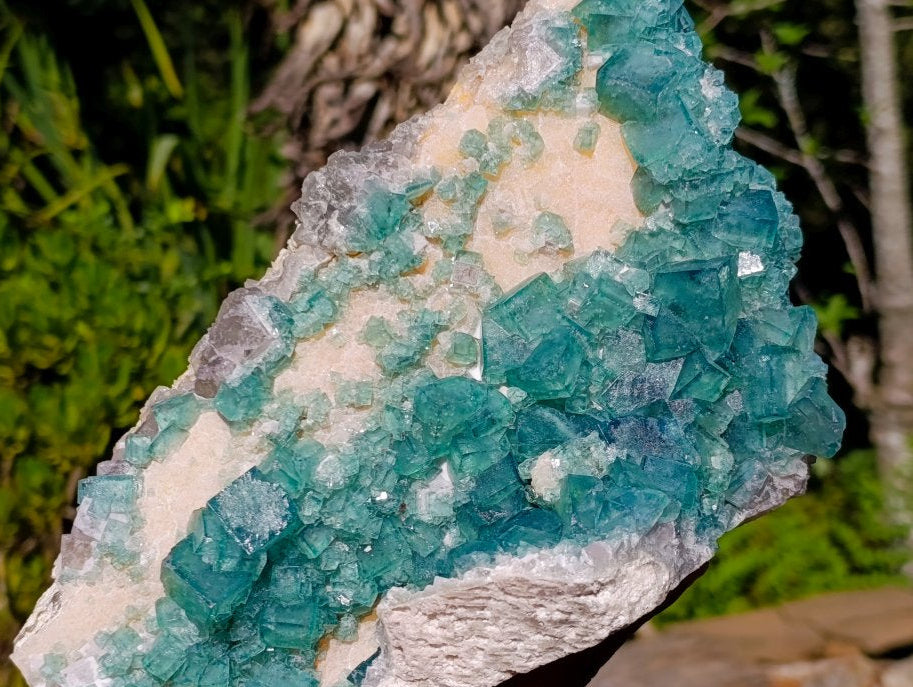 Natural Large Green Cubic Fluorite Specimen x 1 From Mandrosonoro, Madagascar