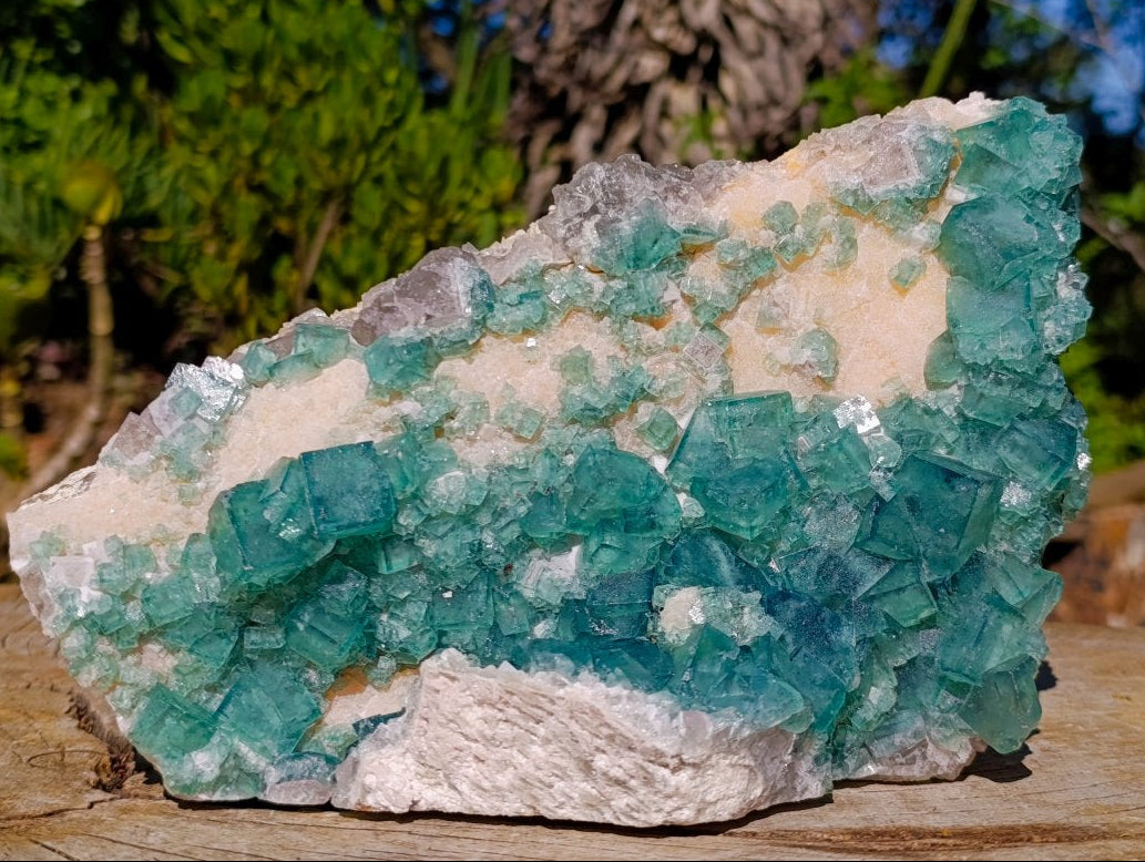 Natural Large Green Cubic Fluorite Specimen x 1 From Mandrosonoro, Madagascar