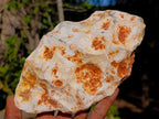 Polished Banded Agate Amethyst Crystal Centred Geode x 1 From Maintirano, Madagascar