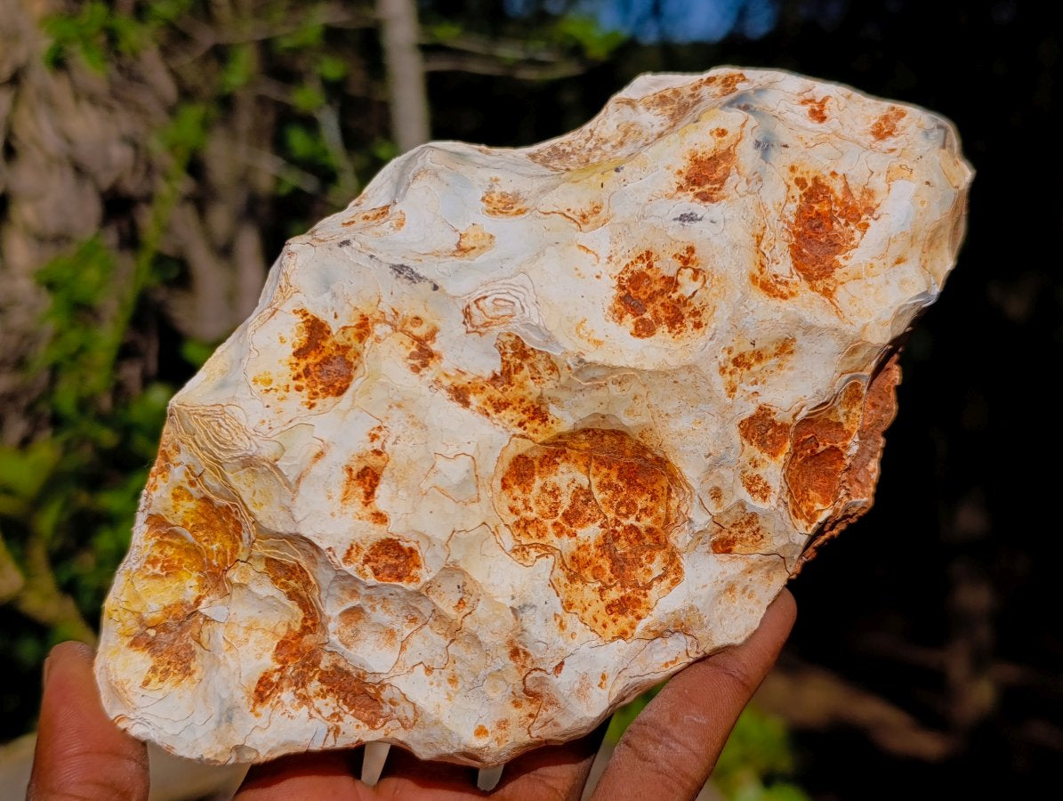 Polished Banded Agate Amethyst Crystal Centred Geode x 1 From Maintirano, Madagascar