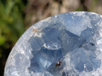 Polished Blue Celestite Gemstone Egg x 1 From Sakoane, Madagascar