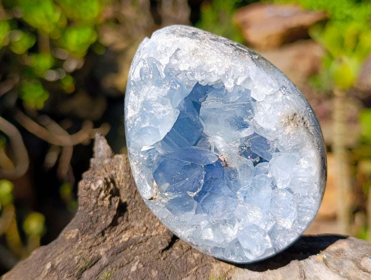 Polished Blue Celestite Gemstone Egg x 1 From Sakoane, Madagascar