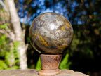Polished Golden Pyrite "Pharaoh Stone" Sphere x 1 From Iron Duke Mine, Zimbabwe