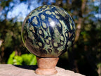 Polished Stromatolite Ring Patterned Sphere x 1 From Mahajanga, Madagascar