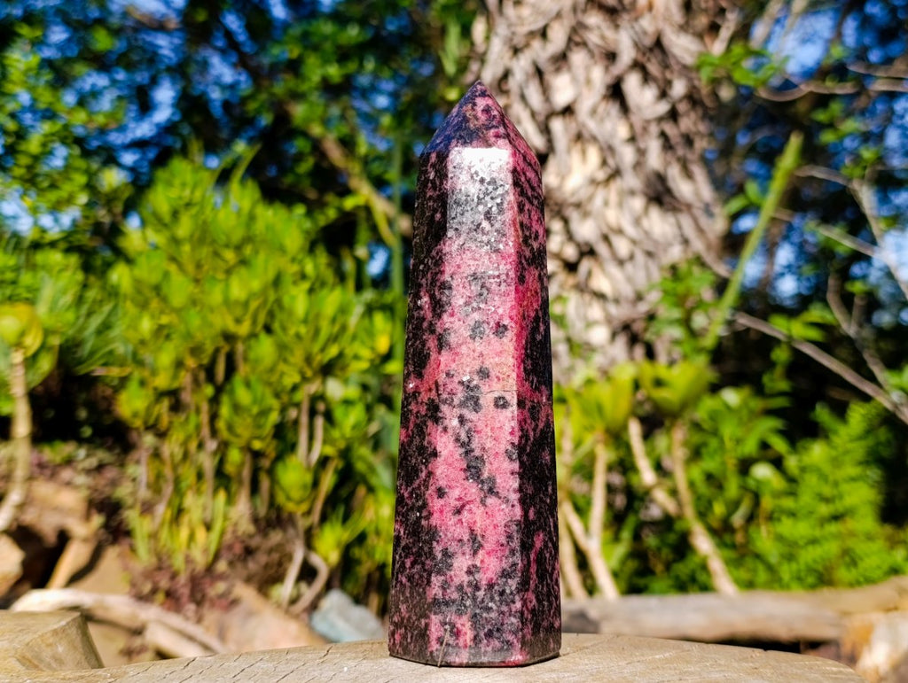 Polished Rhodonite Gemstone Display Crystal x 1 From Madagascar