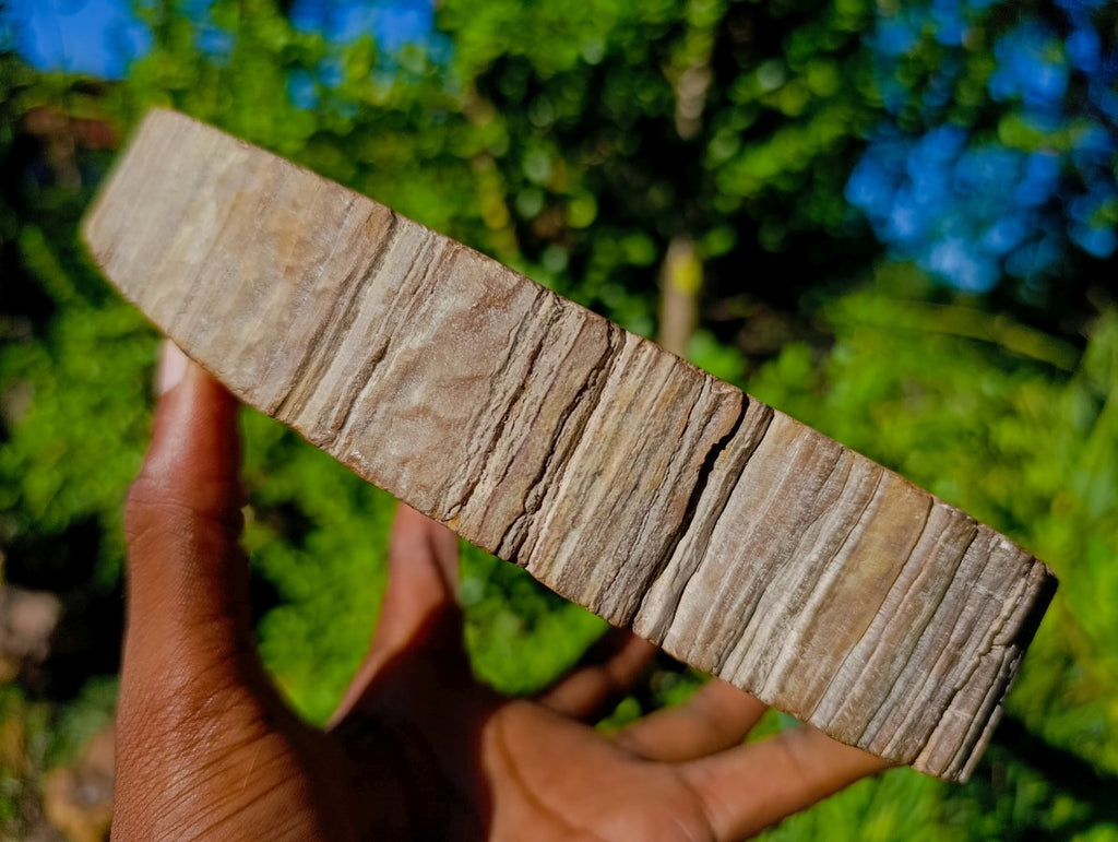 Polished Podocarpus Petrified Wood Bowl x 1 From Mahajanga, Madagascar