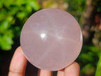 Polished Star Rose Quartz Sphere x 1 From Ambatondrazaka, Madagascar