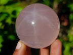 Polished Star Rose Quartz Sphere x 1 From Ambatondrazaka, Madagascar