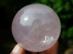 Polished Star Rose Quartz Sphere x 1 From Ambatondrazaka, Madagascar