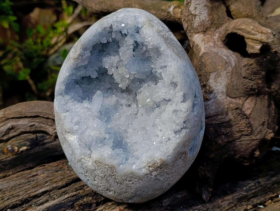 Polished Large Celestite Crystal Geode Egg x 1 From Sakoany, Madagascar