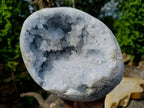 Polished Large Celestite Crystal Geode Egg x 1 From Sakoany, Madagascar