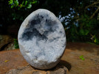 Polished Large Celestite Crystal Geode Egg x 1 From Sakoany, Madagascar
