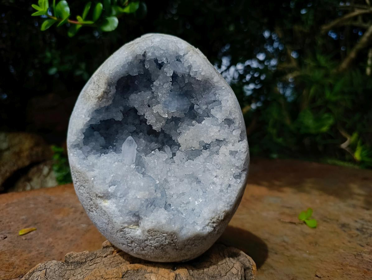 Polished Large Celestite Crystal Geode Egg x 1 From Sakoany, Madagascar