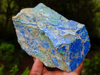 Natural Azurite and Malachite in Dolomite Specimen x 1 From Kaokoveld, Namibia