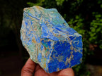 Natural Azurite and Malachite in Dolomite Specimen x 1 From Kaokoveld, Namibia