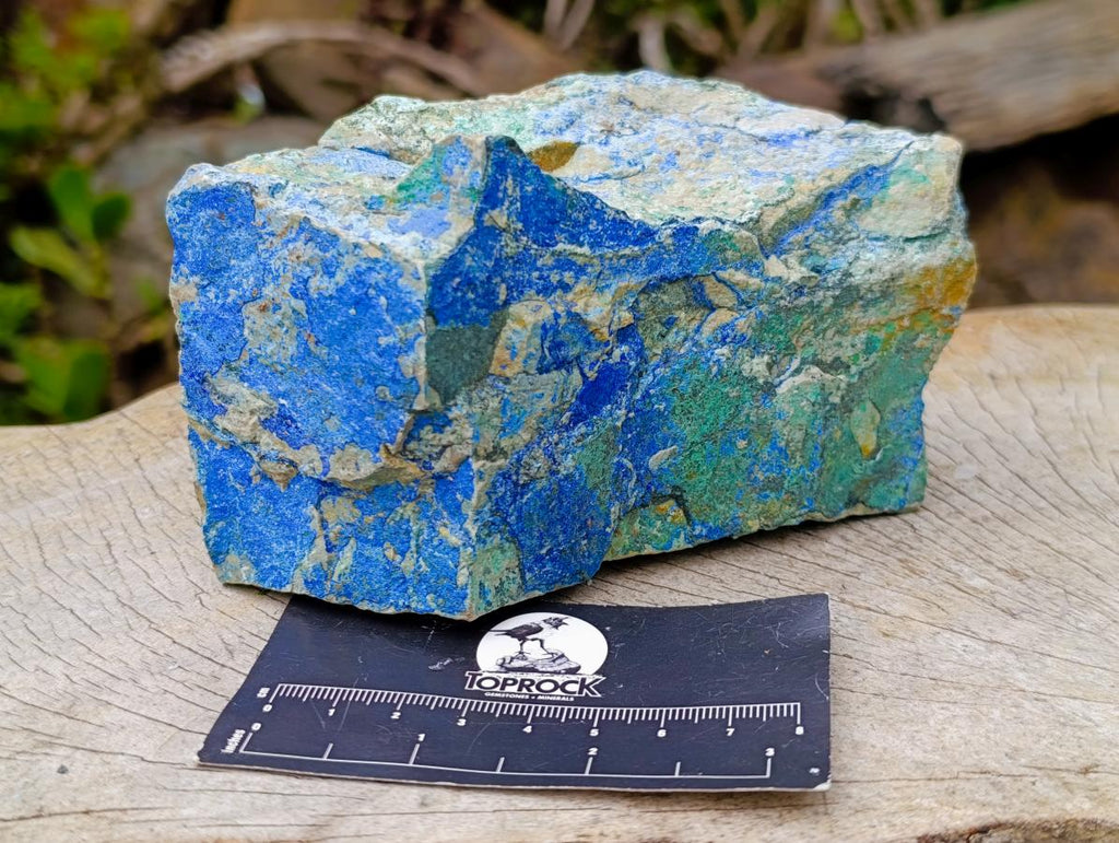 Natural Azurite and Malachite in Dolomite Specimen x 1 From Kaokoveld, Namibia