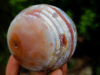 Polished Banded Sardonyx Agate Sphere x 1 From Shashe River, Zimbabwe