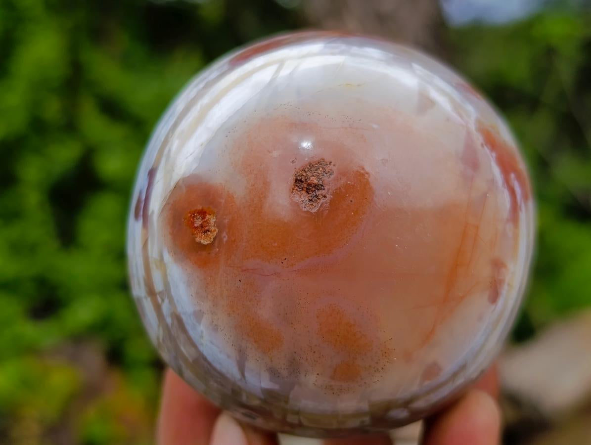 Polished Banded Sardonyx Agate Sphere x 1 From Shashe River, Zimbabwe