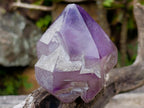 Polished Window Amethyst Floater Crystal x 1 From Ambatondrazaka, Madagascar