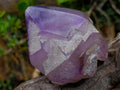 Polished Window Amethyst Floater Crystal x 1 From Ambatondrazaka, Madagascar