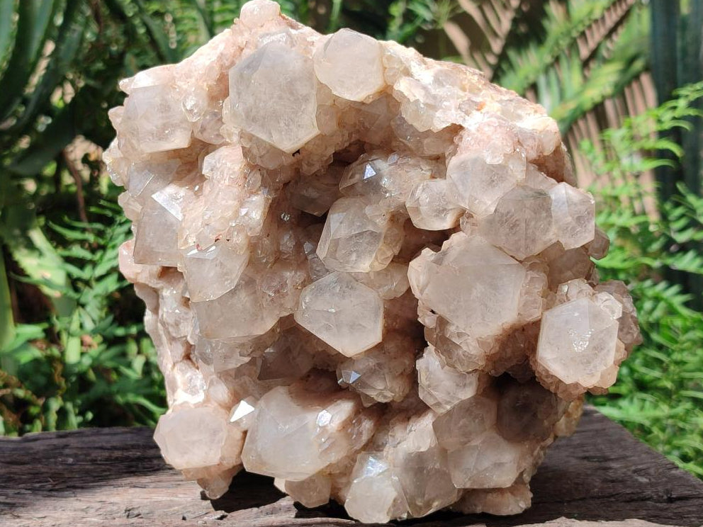 Natural Large Cascading White Phantom Smokey Quartz Cluster x 1 From Luena, Congo