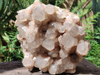 Natural Large Cascading White Phantom Smokey Quartz Cluster x 1 From Luena, Congo