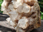 Natural Large Cascading White Phantom Smokey Quartz Cluster x 1 From Luena, Congo