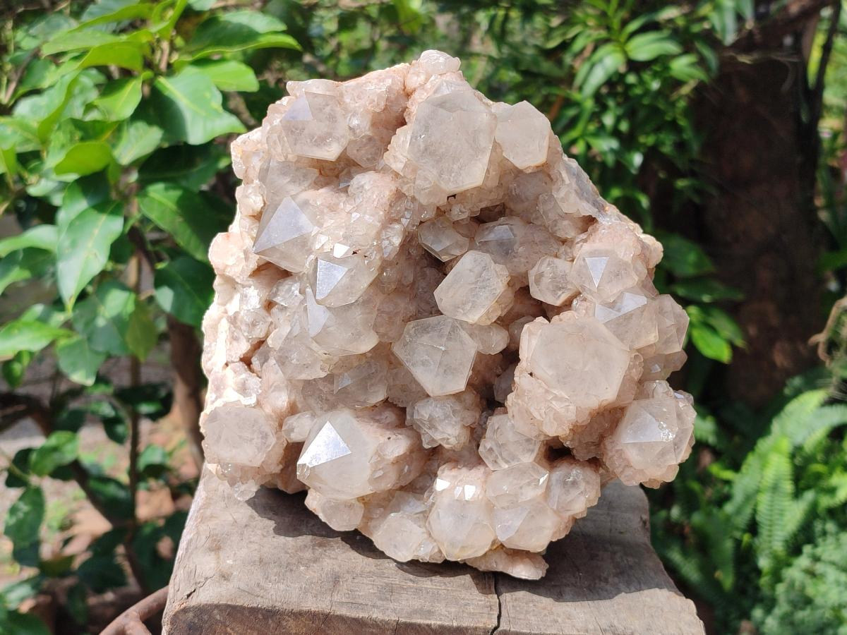 Natural Large Cascading White Phantom Smokey Quartz Cluster x 1 From Luena, Congo