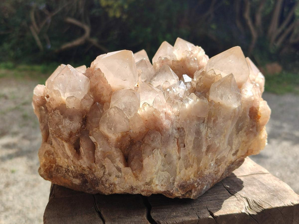 Natural Large Cascading White Phantom Smokey Quartz Cluster x 1 From Luena, Congo