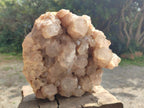 Natural Large Cascading White Phantom Smokey Quartz Cluster x 1 From Luena, Congo